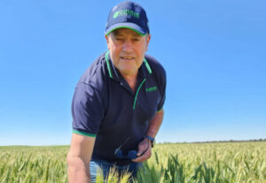 Mixed bag for grain growers