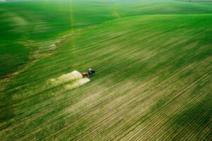 To spray, or not to spray, that is the question