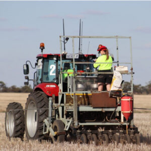 Methods to succeed at early sowing