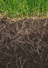 Soil carbon explained in online course