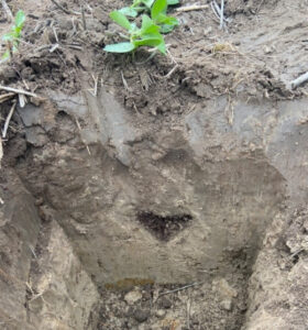 Help available for subsoil decisions
