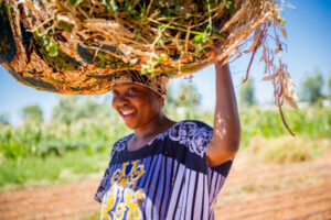 African migrants have amasing success on community demonstration farm