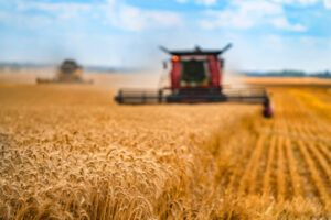 Aligning chemical regulation with international grain markets