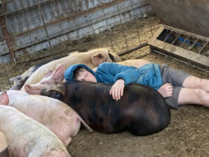Born for a life on the land