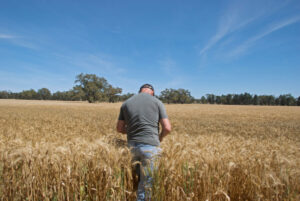 Grain growers to converge on Mildura for WeedSmart Week