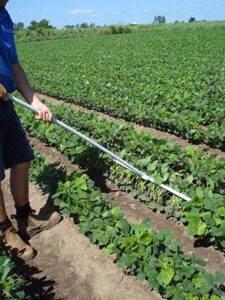 Milking the most out of your soybeans