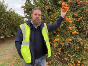 Solutions focus for citrus forum