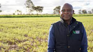 New research set to deliver acid-tolerant chickpea varieties