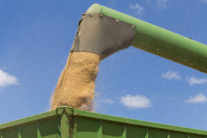 Farming of the future