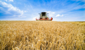 Wimmera-Mallee cropping land now second on national value list