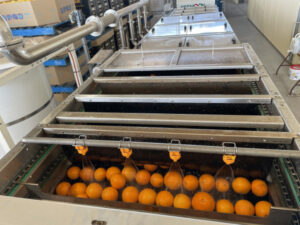 Sunraysia on forefront of keeping citrus food-safe
