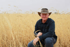 Soaking up data to beat drought