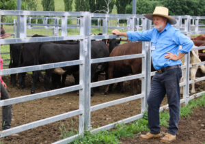 Working in harmony with your stock