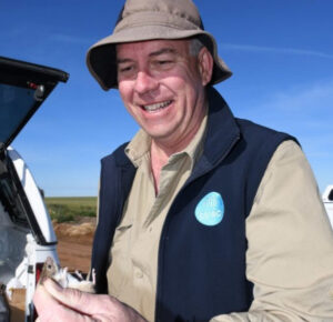 Check paddocks for mice ahead of winter crop