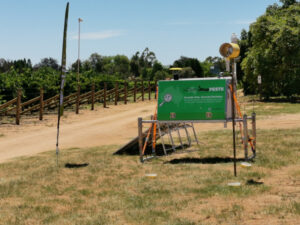 Leap forward in citrus pest fight