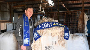 Woolgrowers help thaw the Big Freeze