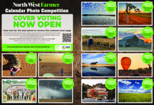 NWF Calendar Cover Voting
