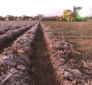Pulling handbrake on frost damage
