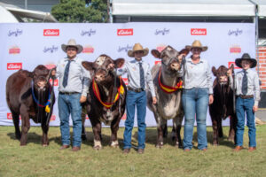 Roly Park rocks Sydney Royal