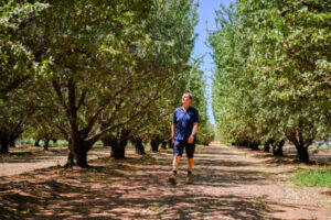 Managing Nutrient Imbalance: Tips for growers using whole orchard recycling