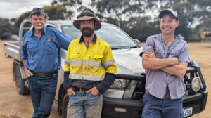 Vetch solution for vexing feed challenge