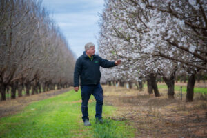 The Minters at Red Cliffs did not have all their eggs in the one basket – farming asparagus, citrus and almonds.