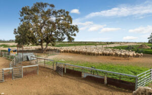 $16.1 million pastoral land sale a new benchmark