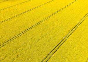 Farms hit market amid sales boom