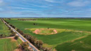 Prime Mallee lots for sale