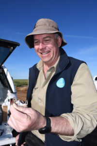 Growers warned to keep eyes open for mice and plenty of them