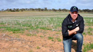 Crunching post-harvest nutrient numbers