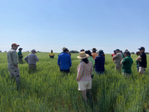 Young farmers get business skills