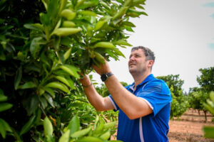 Adapting to supply curve balls