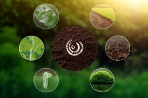 Cash in on true value of carbon
