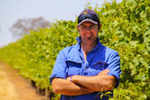 Wine grapes’ ‘grim outlook’