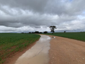 Return of La Nina now at alert level