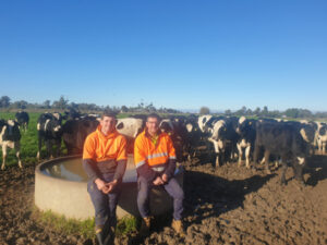 Dairy producers hope for milk price dividend