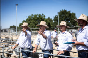 Shake-up at the saleyards