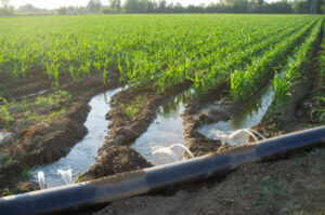 Down the drain: Wentworth a hotspot for water fines