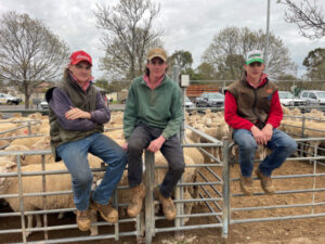 Ouyen Livestock Exchange