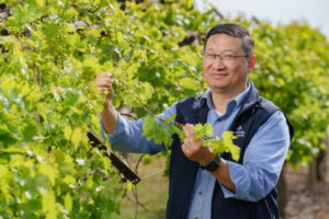 To Boldly go… Sunraysia industry monitoring closely promising new vine