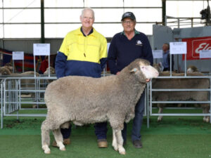 Ram sales out of the gate