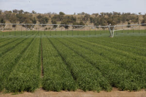 Farmland Market Insights: A Tightening Grip on Land Ownership and Blue-Ribbon Prices