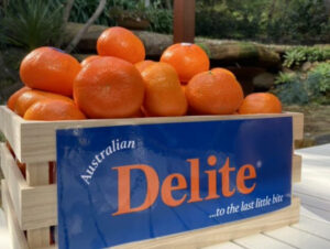 Delite mandarins reach decade milestone