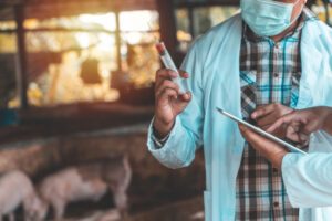 Moves to prepare for disease
