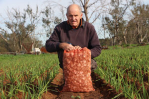 Passionate grower pursues perfect garlic