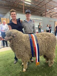 Sheep on show