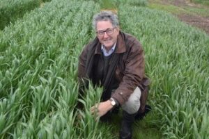 Insights into crop nutrition