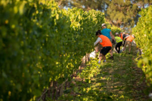 Migrant worker exploitation “rife”