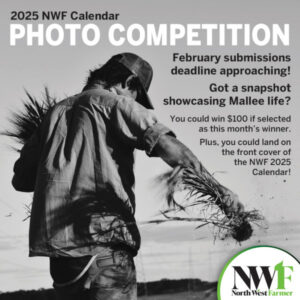 New local amateur photo competition with cash prizes